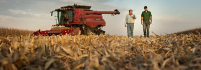 Corn_Harvest_Minnesota